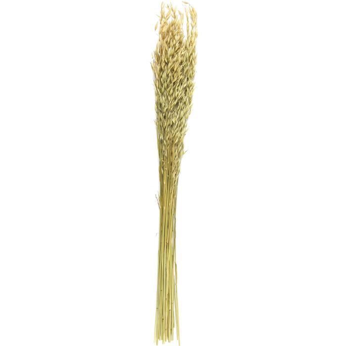 Bouquet de fleurs séchées - Non spécifié - 75 cm - Beige - Plante artificielle - Décoratif