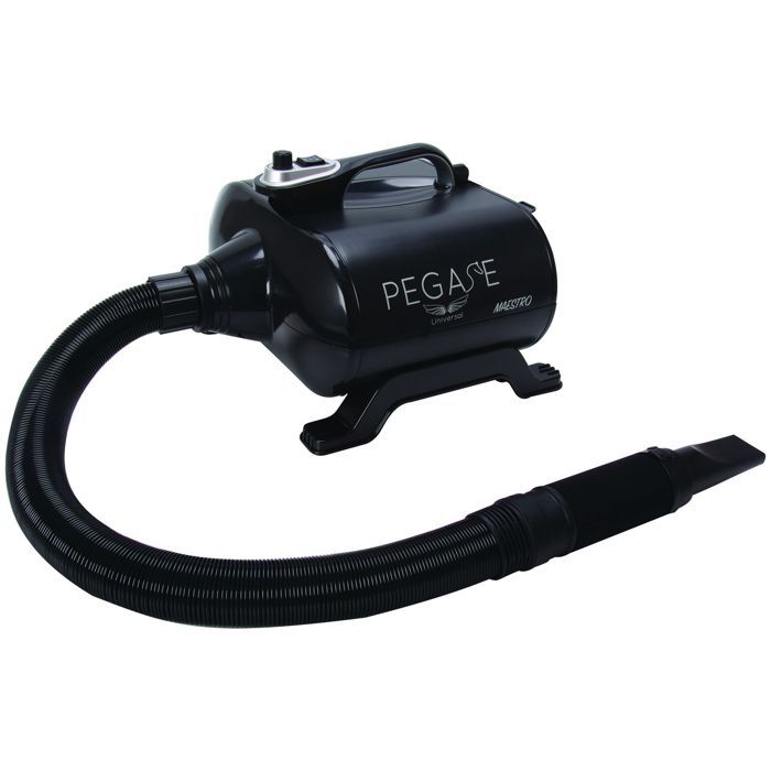 Séchoir-Pulseur Maestro Portable - PEGASE UNIVERSAL