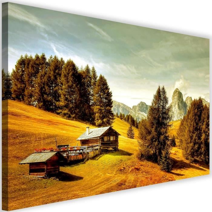 Deco Cadre Décoration Salon Paysage Montagnes Aube Moderne Impression sur  Toile 120x80cm Image Tableau Decoration Murale Chambre Horizontal Art Wall  Grand Tableaux Decoratifs Muraux AA120x80-4456 : : Cuisine et  Maison