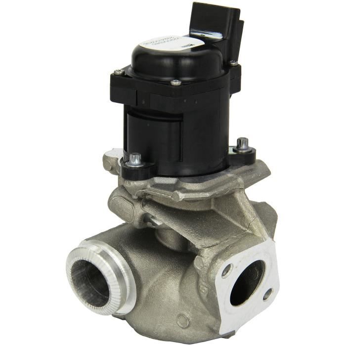 Vanne EGR Ford - psa group - VALEO - 700474
