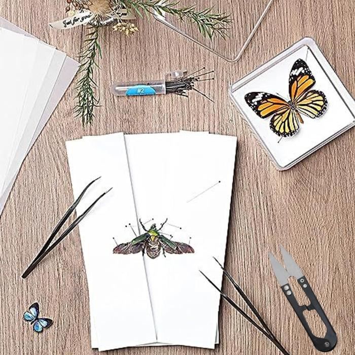 FHE- Kit D'outils Pour Fabriquer Des Spécimens De Papillons Vitrine D'exposition D'insectes