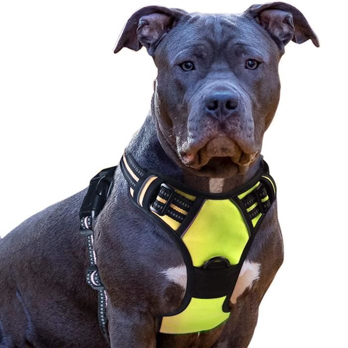 Harnais Pour Chien Grande Taille Luhuanx - Anti-traction, Poignée, Réfléchissant, Réglable (Labrador, Husky, Etc.)