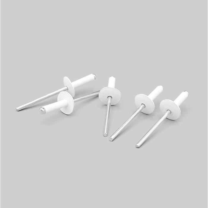 | Rivets Pop En Aluminium À Tête Large. 4,8 X 25 Mm. Tête De 16 Mm ...