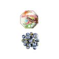 Filet De Billes Œil De Vipère – 20 Billes + 1 Calot – Collection Serpent – Dès 3 Ans – Carte Offerte