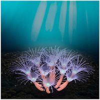 Corail artificiel lumineux en silicone pour décoration d'aquarium (Rose)