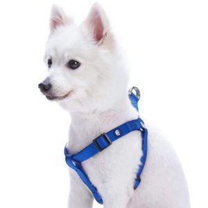 Harnais Pour Chien Martin Sellier Cdiscount