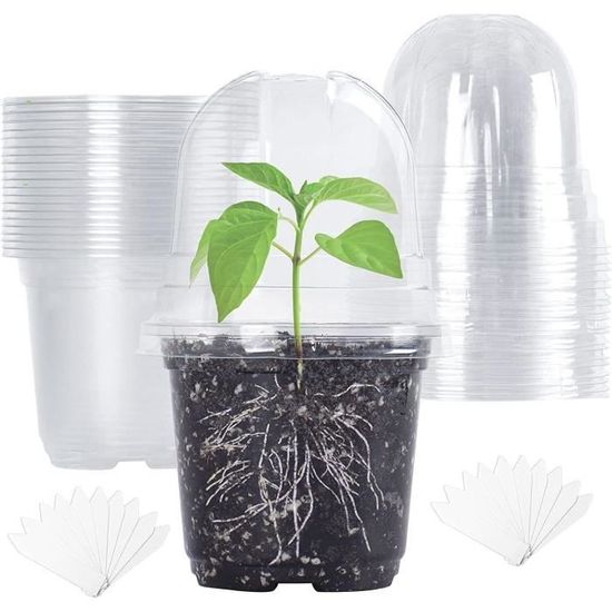 Kit 15 Pots De Semis Transparents Avec Dômes - 10cm, Base Silicone, Drainage - Pour Germination Graines, Plantes