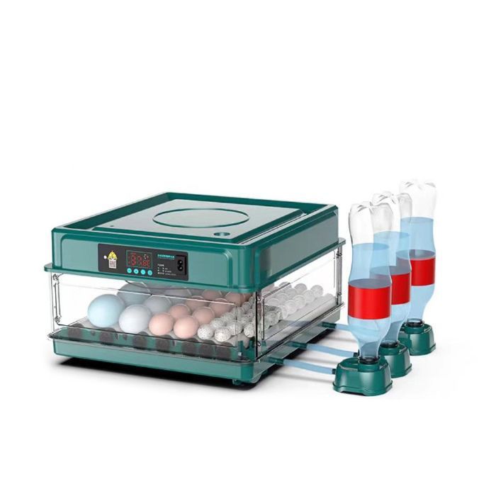 Meilleurs prix pour Couveuse Oeuf Automatique 36 Oeufs, retournement chronométré, standardisation de la température, remplissage automatique, vert