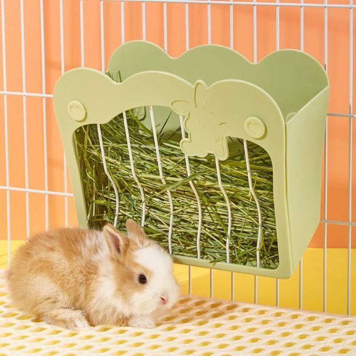 Mangeoire Lapin Râtelier à Foin Suspendu pour Petits Animaux Lapins Lapins Nains Cochons dInde (Vert)