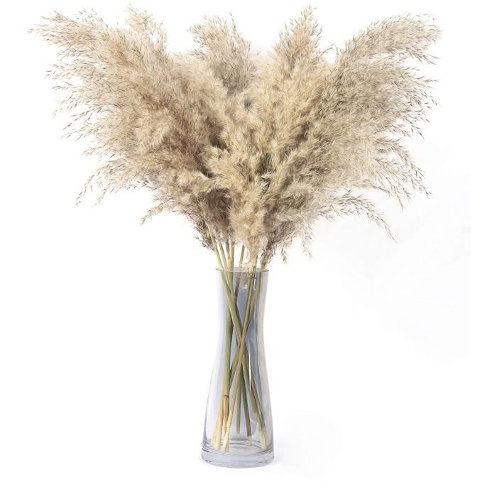 Grande herbe de pampa, herbe de pampa artificielle séchée naturellement,  bouquet de roseaux moelleux de 60 cm.Utilisé pour les[423] - Cdiscount  Maison
