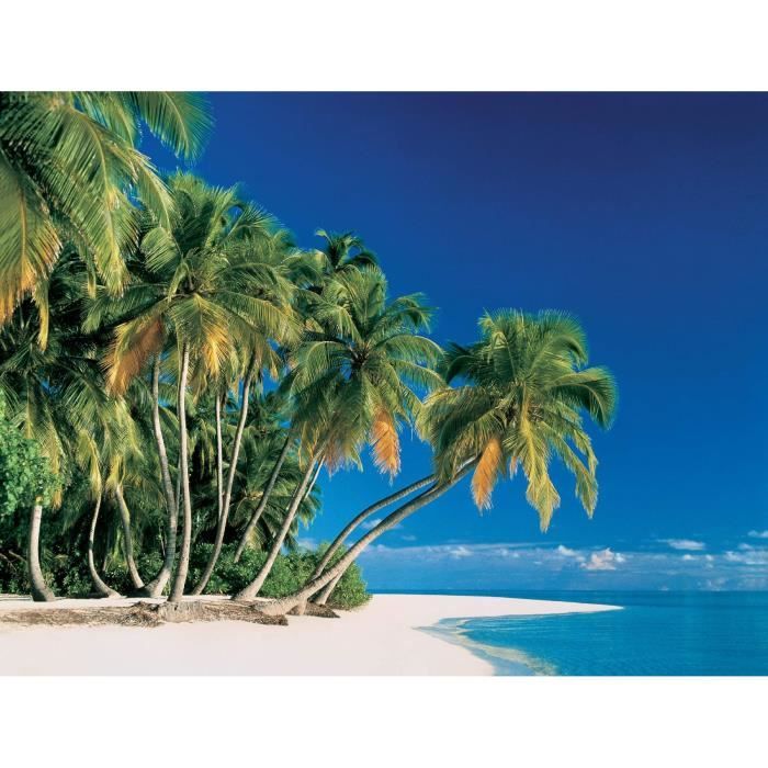 Papier peint-terrasse 103i 366x254cm-plage mer palmiers Caraïbes-avec vraiment la colle