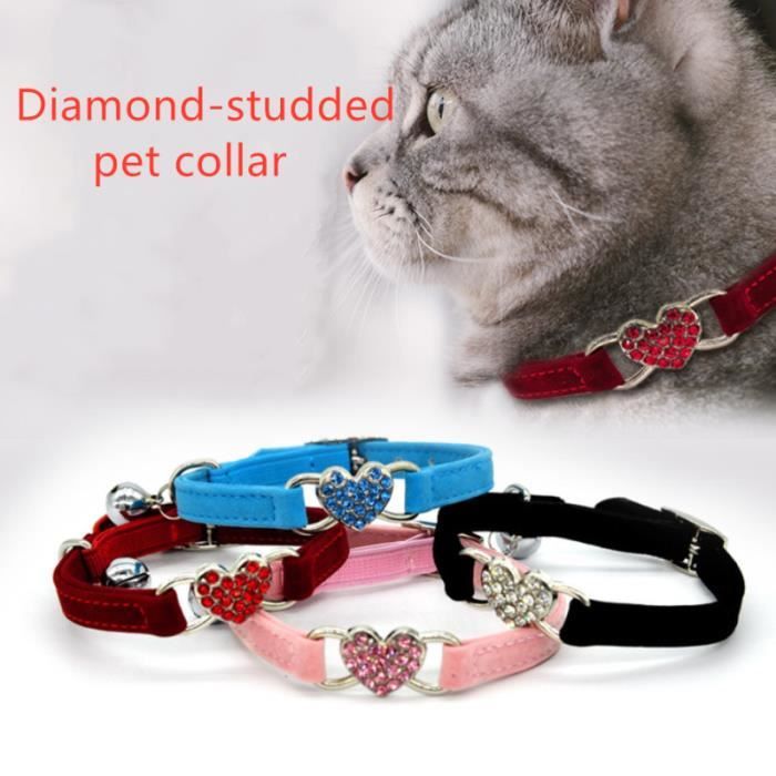 إسبانيا ابنة الاخ التقويم Colliers De Chats Dsvdedommel Com إسبانيا ابنة الاخ التقويم Colliers De Chats Dsvdedommel Com