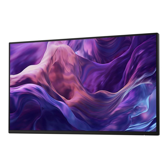 DELL Dell 24 Monitor