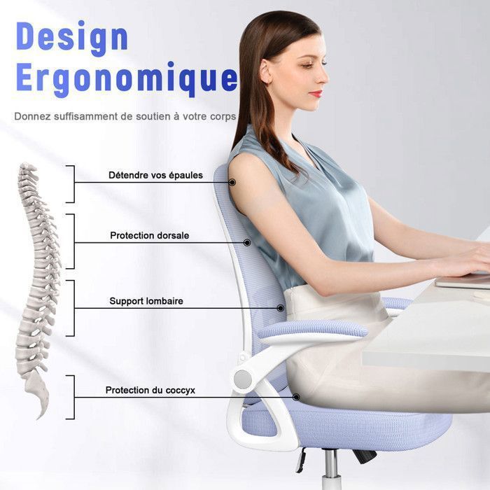 bigzzia Chaise Gaming Ergonomique, Chaise de Bureau avec Coussin et bigzzia Chaise Gaming Ergonomique, Chaise de Bureau avec Coussin et