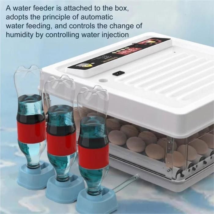 Incubateur Automatique Pour œufs 10-36 œufs - Retournement Auto, Contrôle Humidité/température, Mire Intégrée - 7