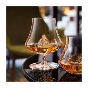 Lot De 6 Verres à Cognac Topkapi - 250 Ml - Transparents Et élégants - Pour Dégustation Et Apéritif