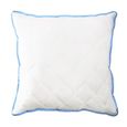 Housse Lavable Oreiller pour lit//Matelas Pas Cher Coussin hypoallerg/énique Oeko TEX Confort Mister Sandman Oreiller en Microfibre Blanc 40x 80 Coussin orthop/édique