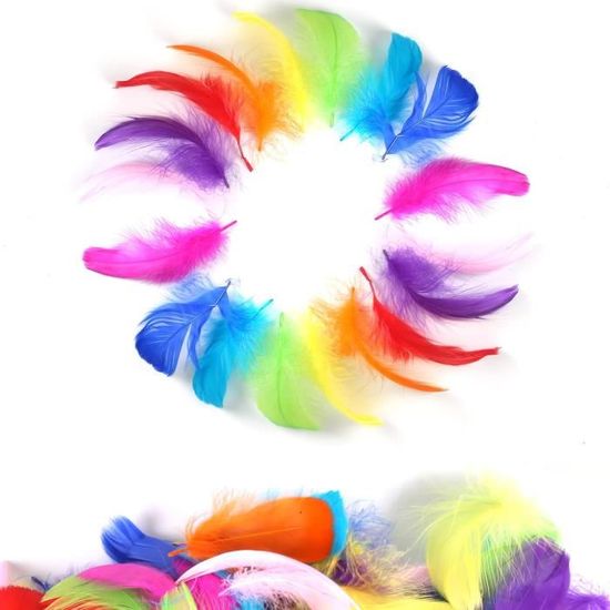 200 Pièces Plumes Colorées 4,5-10cm - Plumes Pintade Pour DIY, Attrape-Rêves Et Décoration