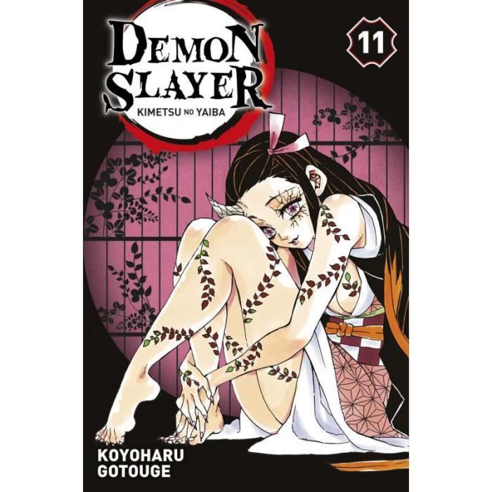 Demon Slayer Tome 11