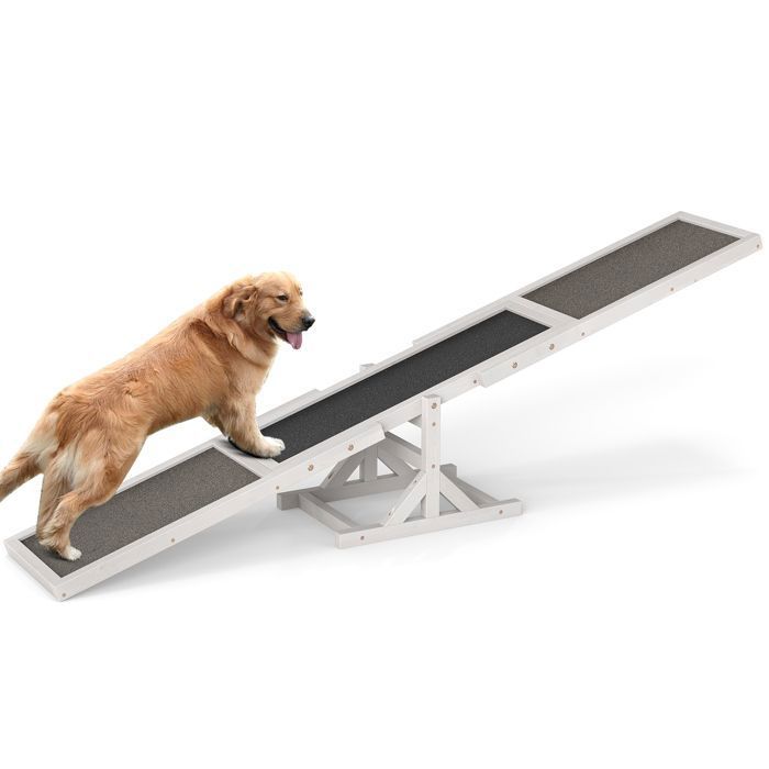 Meilleurs prix pour Bascule dAgilité pour Chiens en Bois COSTWAY Ensemble de Jeu et Exercice pour Chiens Équipement dEntraînement dÉquilibreBlanc
