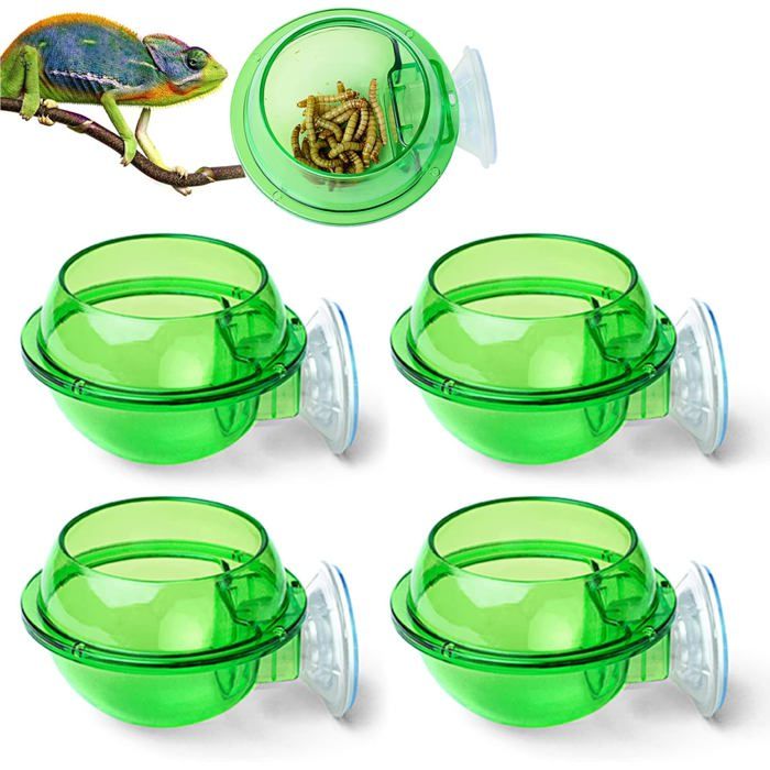 4 pcs Bol deau pour Reptiles Ventouse pour Reptiles Bol dalimentation pour Reptiles Bol caméléon mangeoire à Rebord Mural