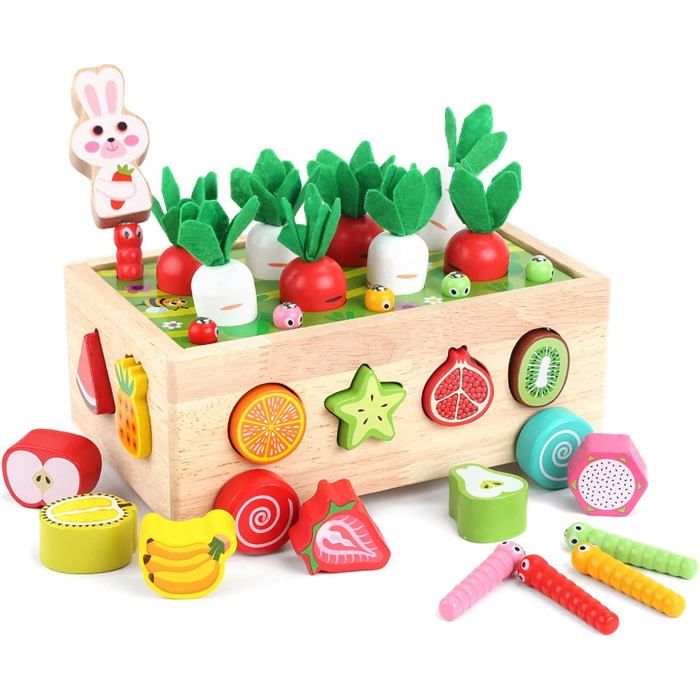 Jouet Bébé 1 an Jeux Montessori 2 3 Ans Jouet éducatif Enfant en Bois Jeu de Tri Montessori Jeu de Ferme pour Cadeau Fille Garcon