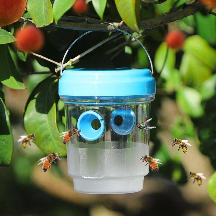 guêpes insectes –piège frelon asiatique réutilisable double canal attrape-guêpes extérieur jardin sans attractif chimique bleu