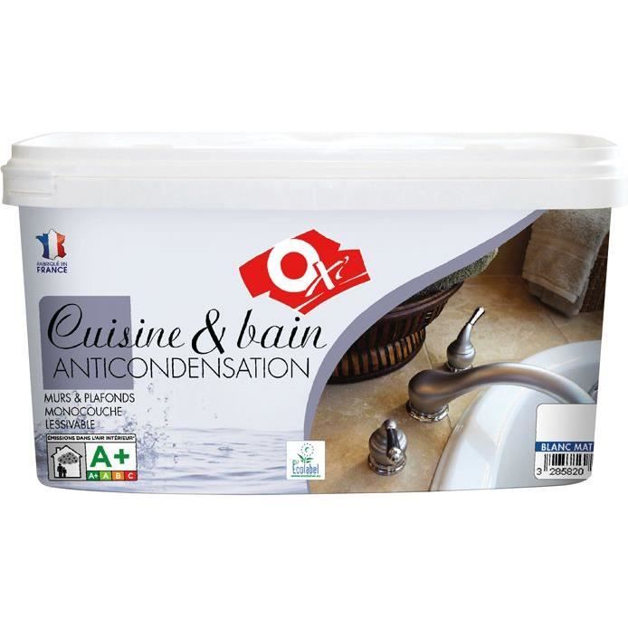 Peinture Cuisine Et Bain Mur Et Plafond Monocouche Mat 2 5 L Blanc Achat Vente Peinture Vernis Ptr Cuisine Et Bain Mur Blc Cdiscount