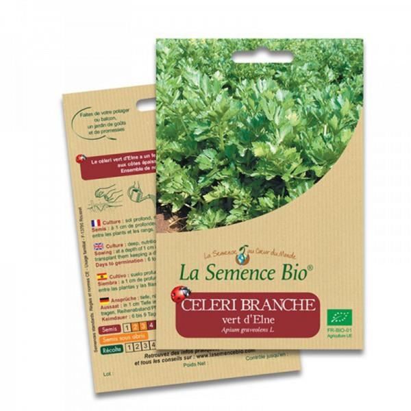 Graines Bio - Céleri Branche Vert d'Elne - Mélange de graines