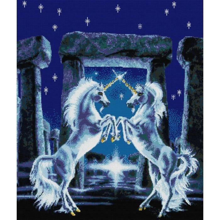 Point De Croix Kit Complet Estampé, Licorne Estampillé 14Ct 2 Brins 54×62Cm Broderie Point De