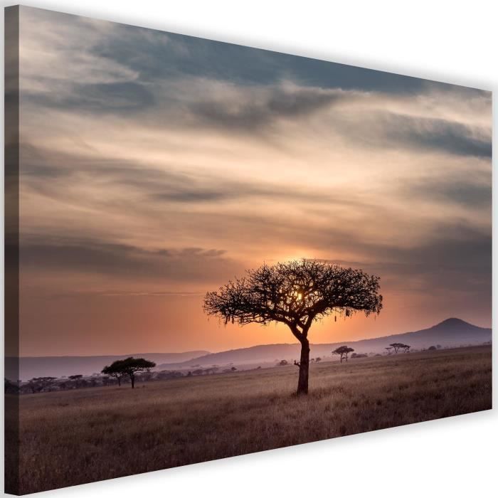 Tableau Décoration Murale Savane Paysage 60x40 cm Impression sur Toile coucher de soleil Baobab Artistique Graphique pour salon