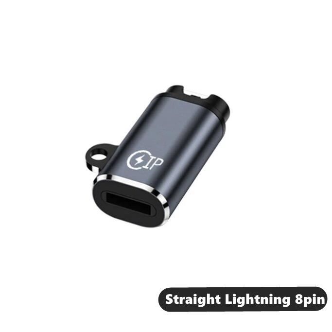 Adaptateur de chargeur Portable de Type C Micro USB iOS pour