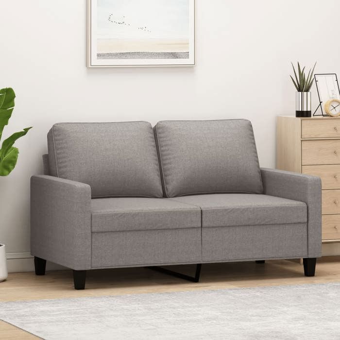 vidaXL Canapé 2 places avec oreillers 140 cm velours canapé causeuse canapé de salon canapés canapé 3200881
