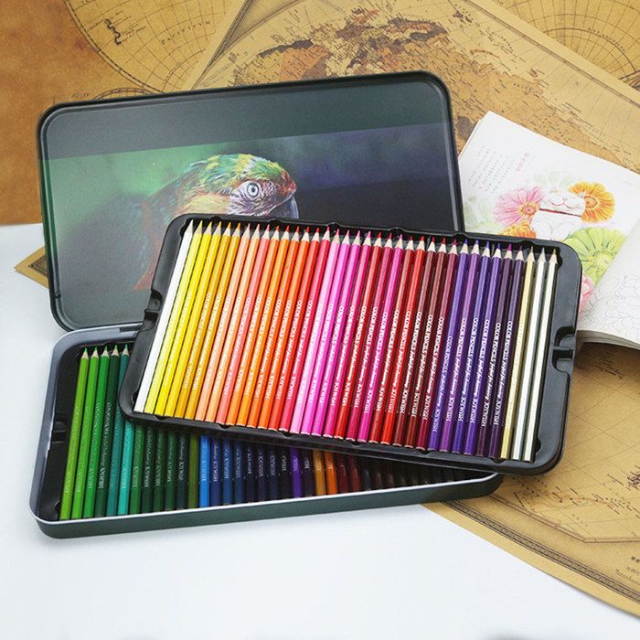 Castle Art Supplies Set de Crayons de Couleur Métallisés, 48 Tons  Scintillants, Mines en Cire pour les Professionnels, Coloristes et Artistes  Adultes