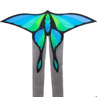 Cerf-volant Papillon HQ ECOLINE - 120 Cm D'envergure, Polyester Ripstop, Prêt à Voler, +5 Ans