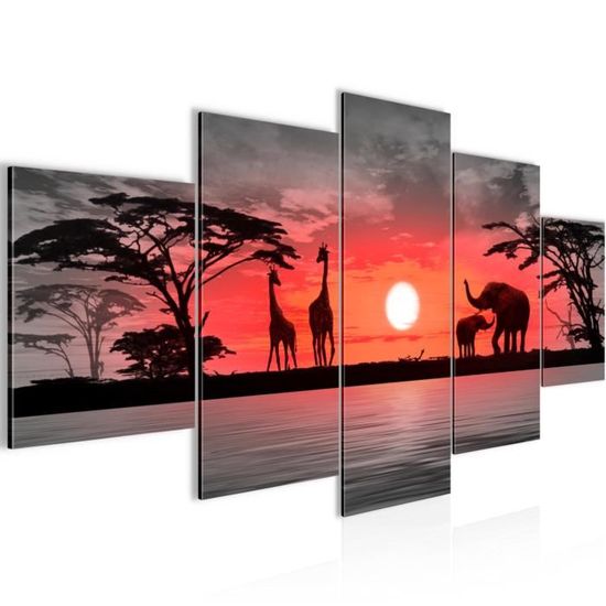 Affiche scolaire murale Afrique physique, politique 140 cm x 97 cm de