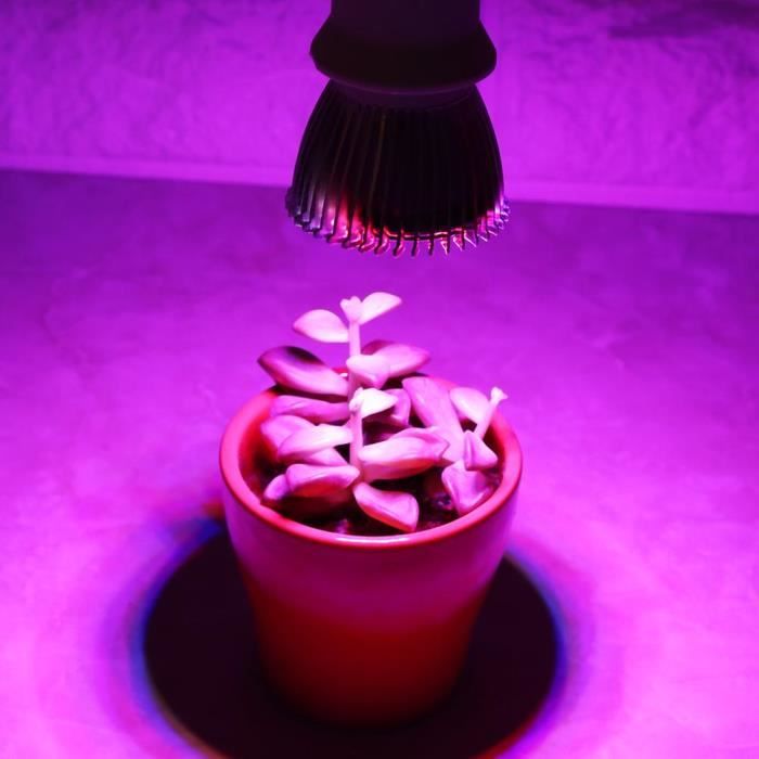 LED Lampe d'ampoule spectre complet élèvent pour l'usine hydroponique PAS