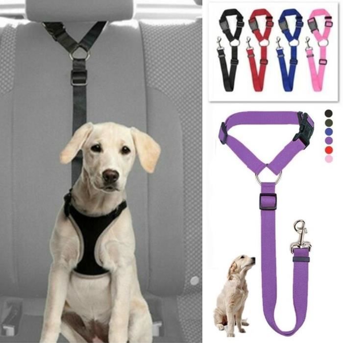 Ceinture de sécurité rose pour animaux de compagnie pour chien en nylon réglable chiot chien voiture ceinture de sécurité pour chi