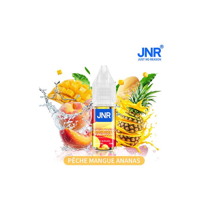 JNR - Peach Mango Pineapple E- liquide Lot de 2 Flacons 10 ml Saveur Pche  Mangue Ananas - Cdiscount Au quotidien