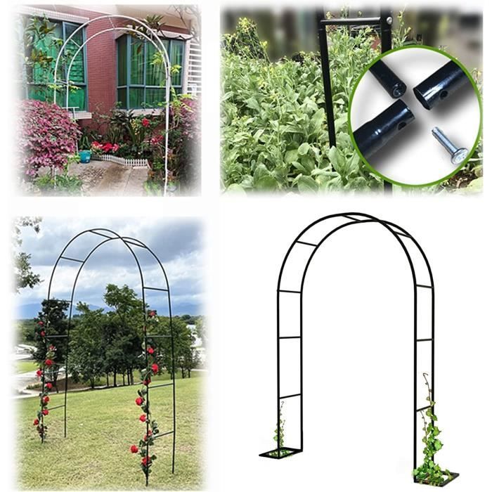 Sitemapcdatahttpsshopinf Inetcomarche De Jardin Robuste