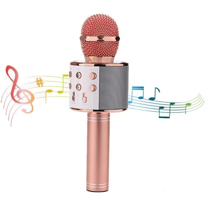 Machine à Chanter Avec Microphone Sans Fil Bluetooth 5.0 Pour Micro De  Karaoké