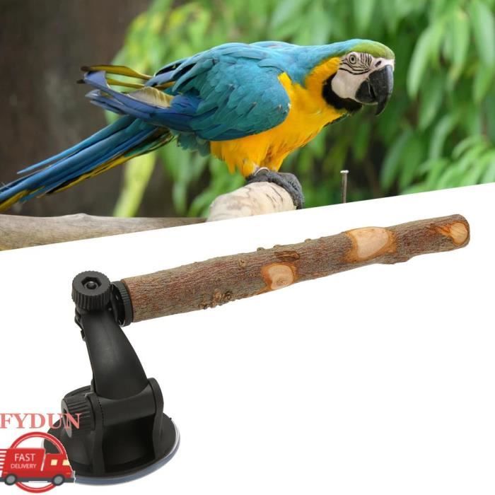 Comparer les prix de FYDUN Perchoir de perroquet en bois Perchoir du perchoir en bois empêche le glissement de perche doiseau animalerie jouet