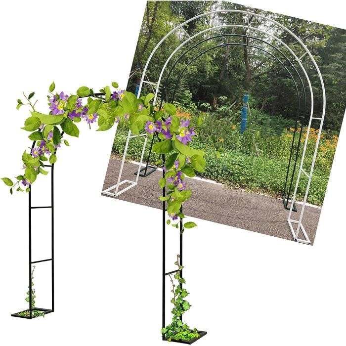 ZBYL Pergola en métal, Arche de Jardin Arceau à rosiers pour Plantes grimpantes, Décoration De