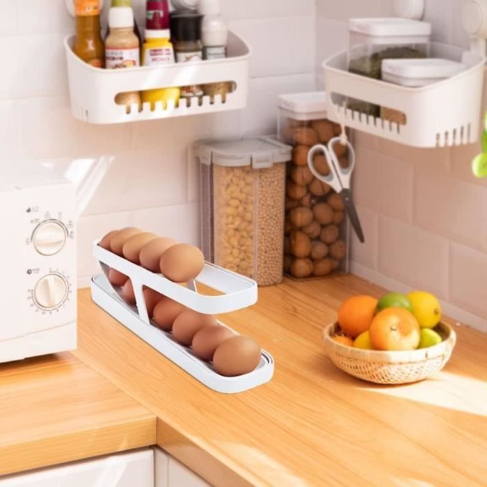 2 Boîtes à Œufs Avec Couvercle - Pour 10 Œufs - Plastique Alimentaire Bleu/Vert - Empilable