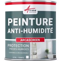 Peinture anti humidité anti moisissure salpêtre isolante ARCASCREEN   - 0.75 L (jusqu a 3m²)
