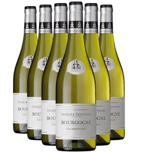 VIN BLANC Bourgogne Chardonnay Blanc 2020 - Lot de 6x75cl - 