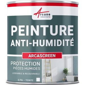 PEINTURE - VERNIS Peinture anti humidité anti moisissure salpêtre isolante ARCASCREEN   - 0.75 L (jusqu a 3m²)