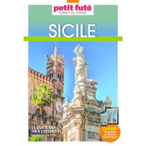 LIVRE TOURISME MONDE Guide Sicile 2023 Carnet Petit Futé