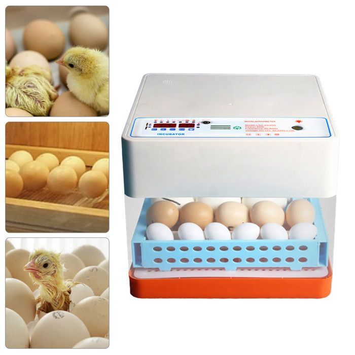 Meilleurs prix pour Incubateur dœufs rotatif automatique - Incubateur dœufs Automatique - Pour lIncubation de Poussins Canetons Cailles - 24 œufs