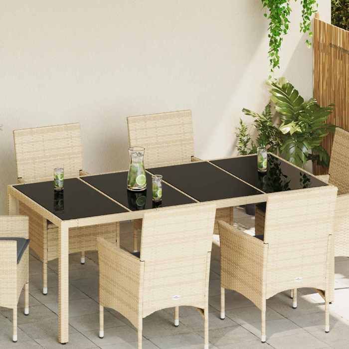 Magnifique Plateau de table 4 pcs - Table et Fauteuils de jardin - Noir Verre 100x50x05cm CL2183646